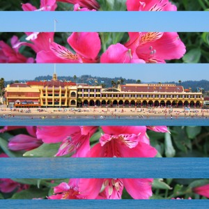 Springtime Casino for web