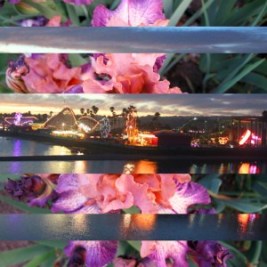 Colorful Evening Boardwalk