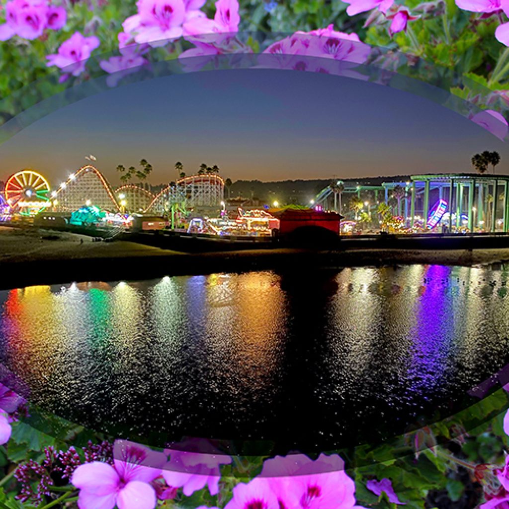 Boardwalk Reflections